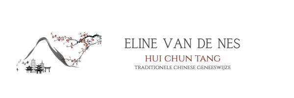 Eline van de Nes Traditionele Chinese Geneeswijze