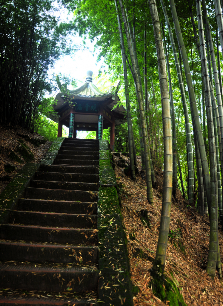 Trap in een bamboe bos naar een Chinese tempel