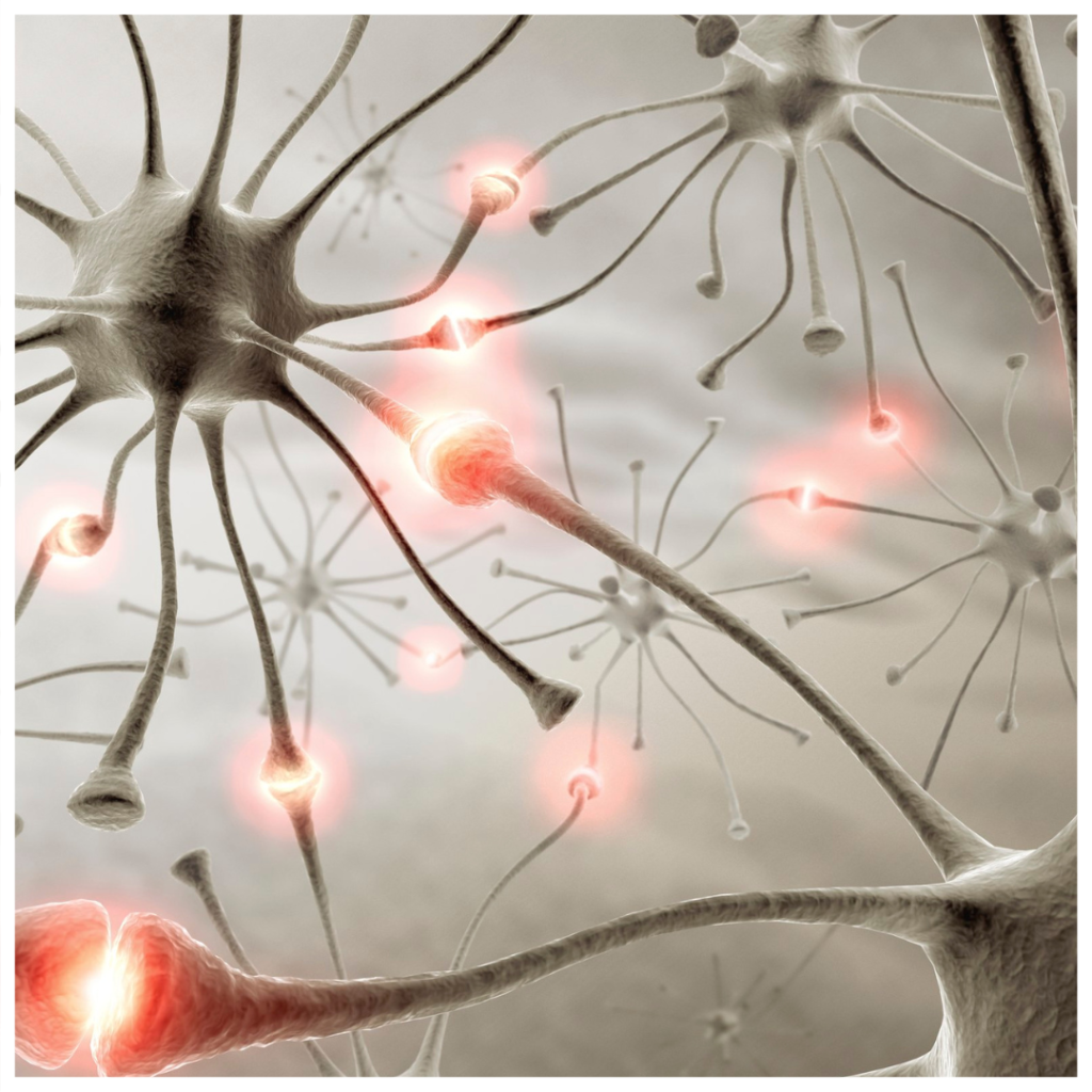 zenuwen die met elkaar communiceren