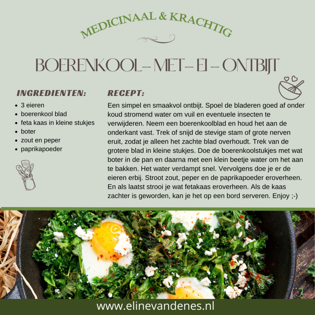 warm ontbijt met boerenkool en ei en fetakaas voeding als medicijn TCM TCG Traditionele Chinese Geneeskunde