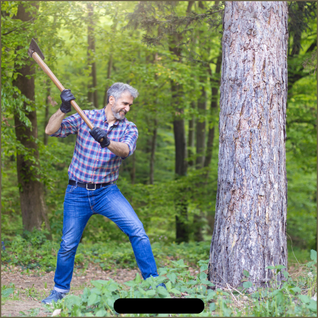 Houthakken als voorbeeld van de balans tussen yin en yang tcm TCG