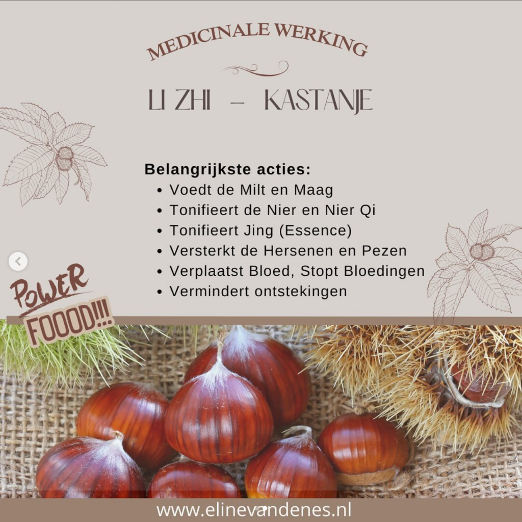 warm ontbijt met Kastanje porridge voeding als medicijn TCM TCG Traditionele Chinese Geneeskunde