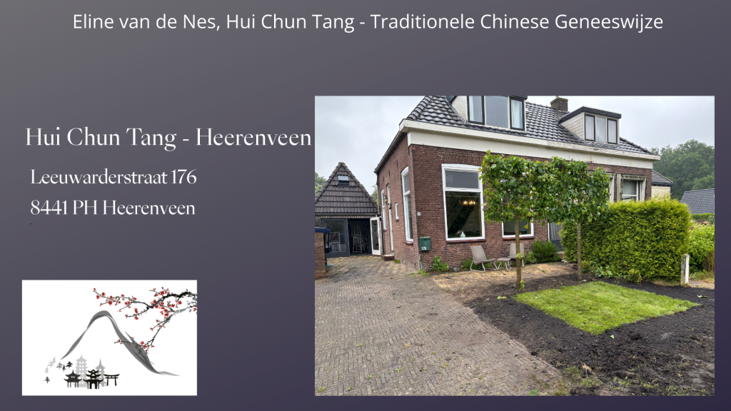 Praktijk leeuwarderstraatweg 176 heerenveen acupunctuur tuina massage chinese kruiden TCM TCG