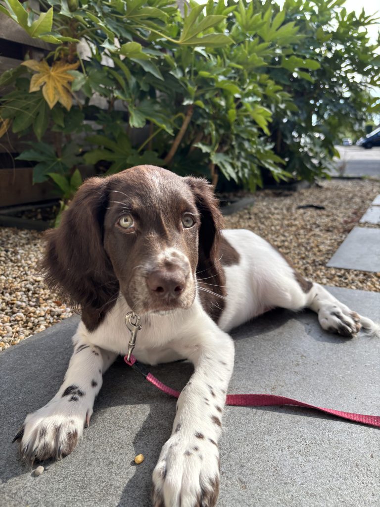 Tijd voor vertraging