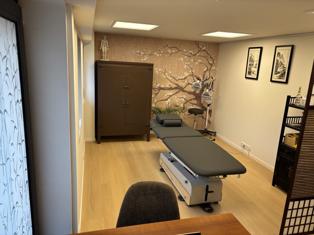 Praktijkruimte Heerenveen Hui Chun Tang, Traditionele chinese geneeswijze, acupunctuur, Tuina therapie Chinese Kruiden, Eline van de Nes